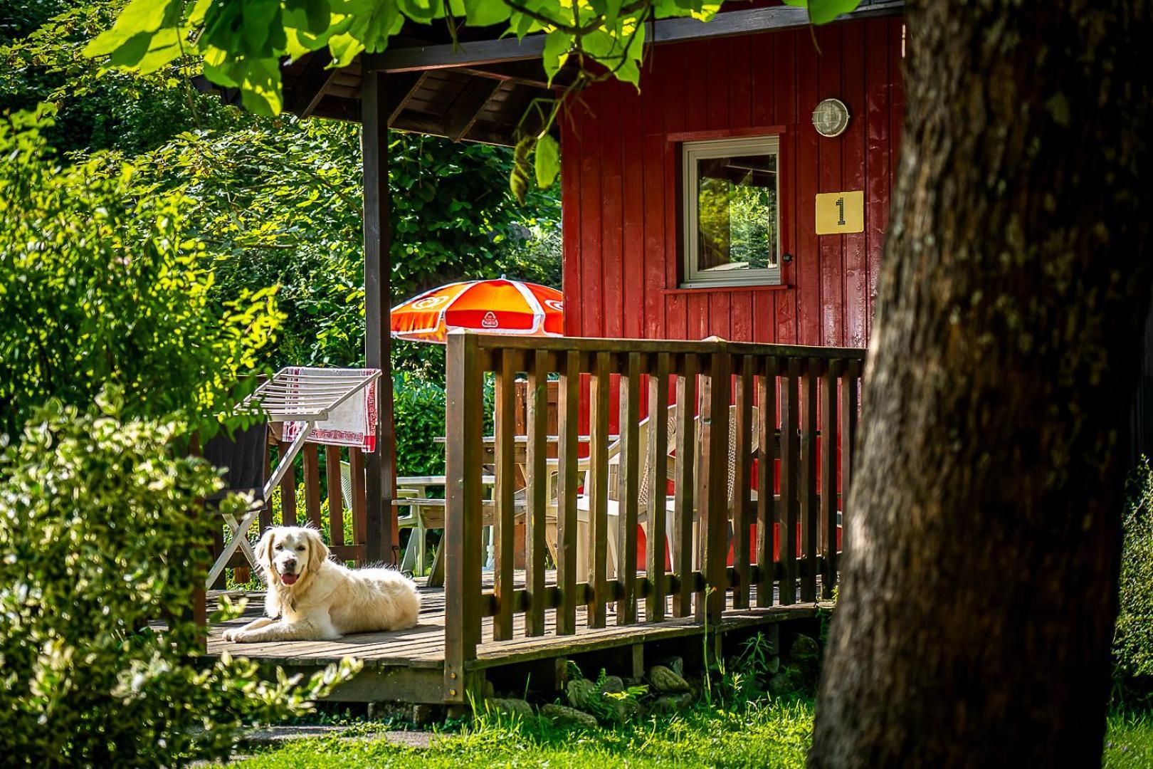 Chalets De La Wormsa Мецраль Экстерьер фото